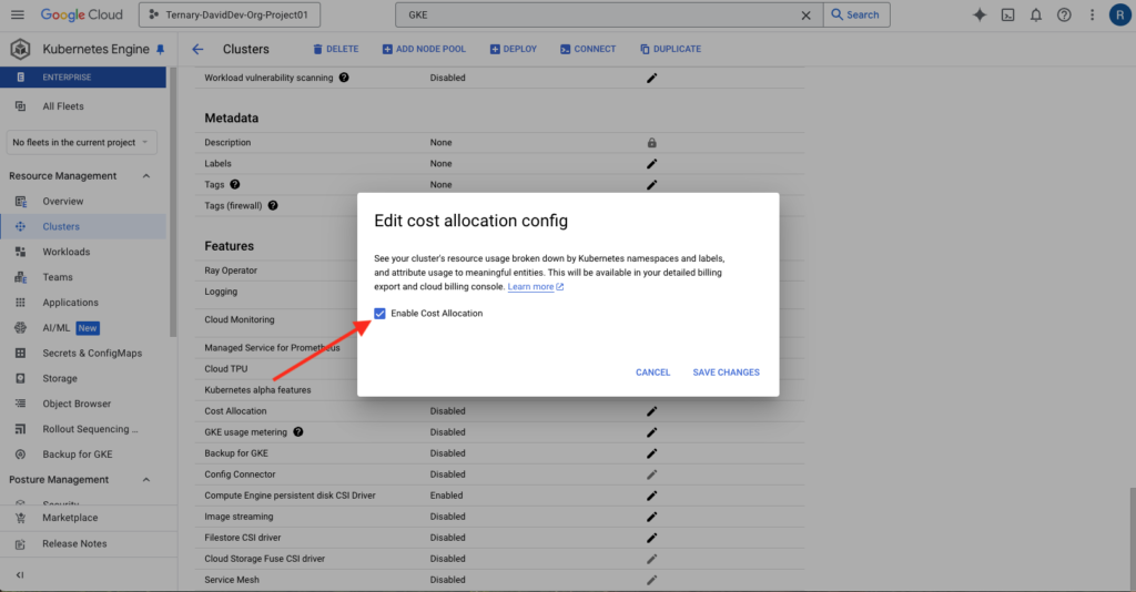 A graphic showing GCP cost allocation labels enabled on an existing GKE cluster.