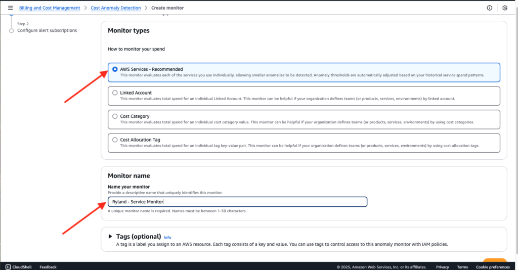 A screenshot showing an example of creating an initial AWS Services cost monitor for an account.