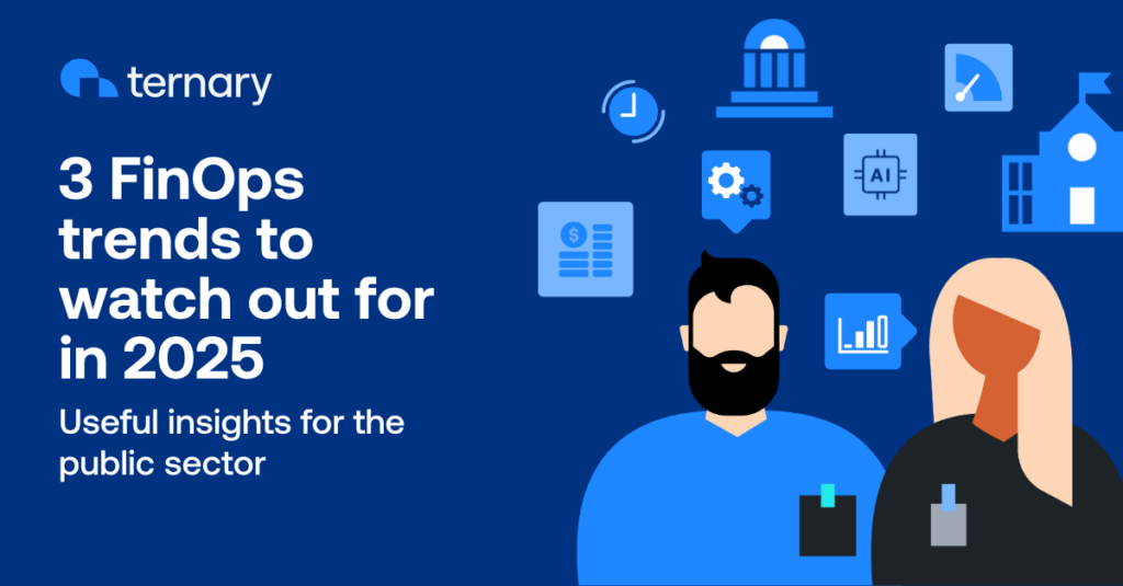 Graphic - FinOps trends for the public sector in 2025