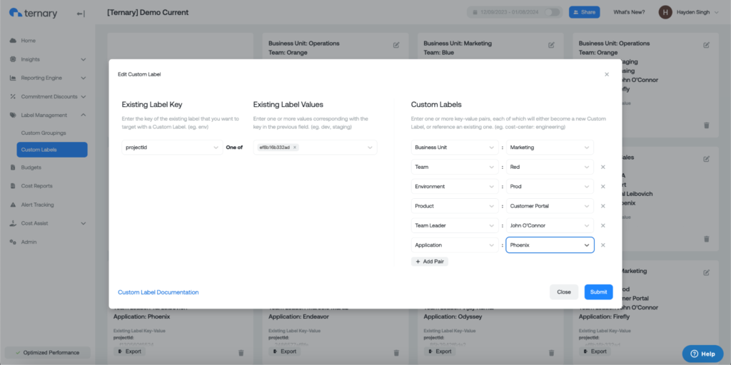 A view of label management within Ternary’s platform. You can enter an existing label key, existing label values, and custom labels to quickly access insights.