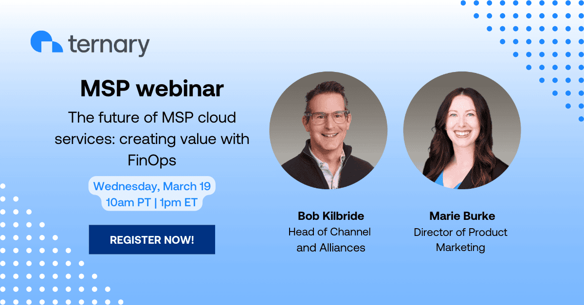 MSP webinar - the future of cloud services