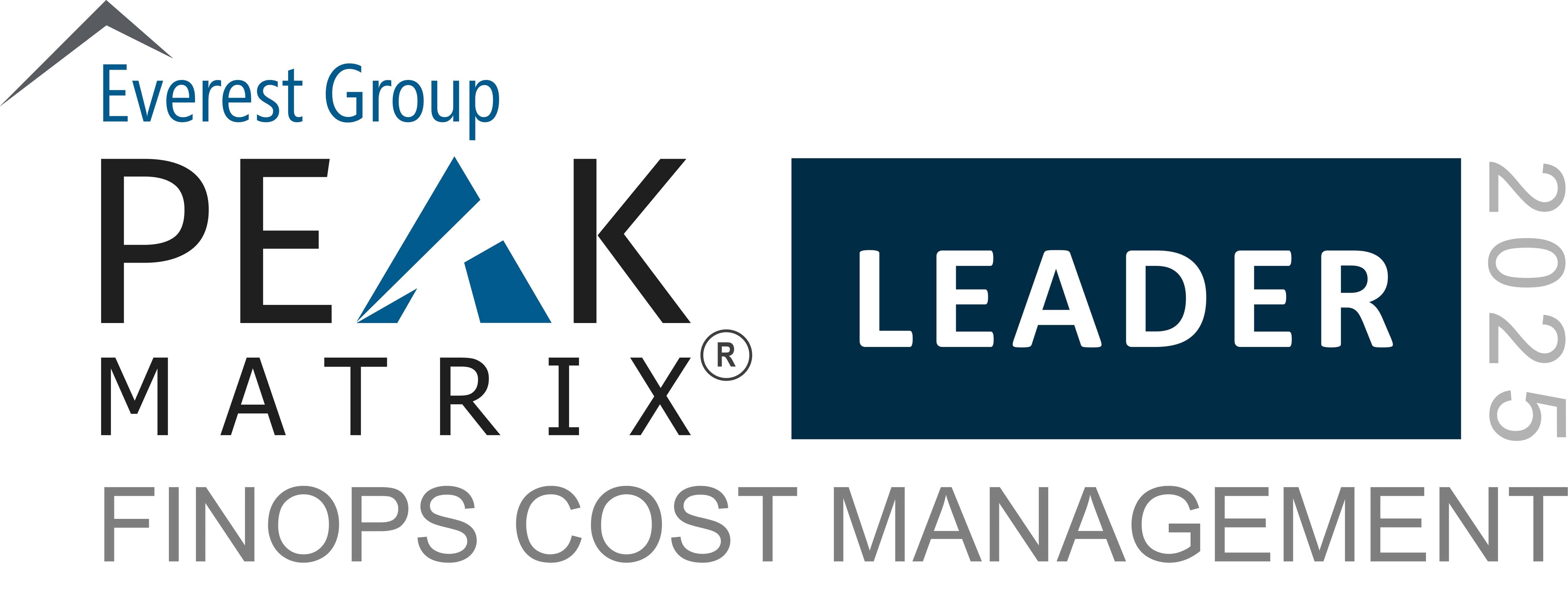 Ternary named a Leader in Everest Group's FinOps PEAK Matrix 2025