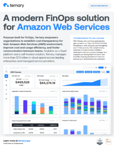 Ternary solution brief for AWS