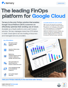 Ternary solution brief for Google Cloud