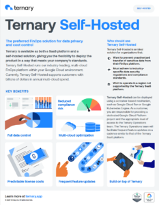 Ternary Self-Hosted solution brief