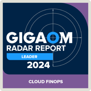 The 2024 GigaOm Radar Report names Ternary a Cloud FinOps Leader.