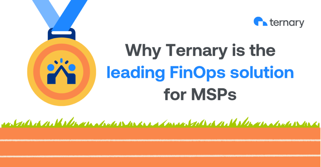 Why Ternary is the leading FinOps solution for MSPs