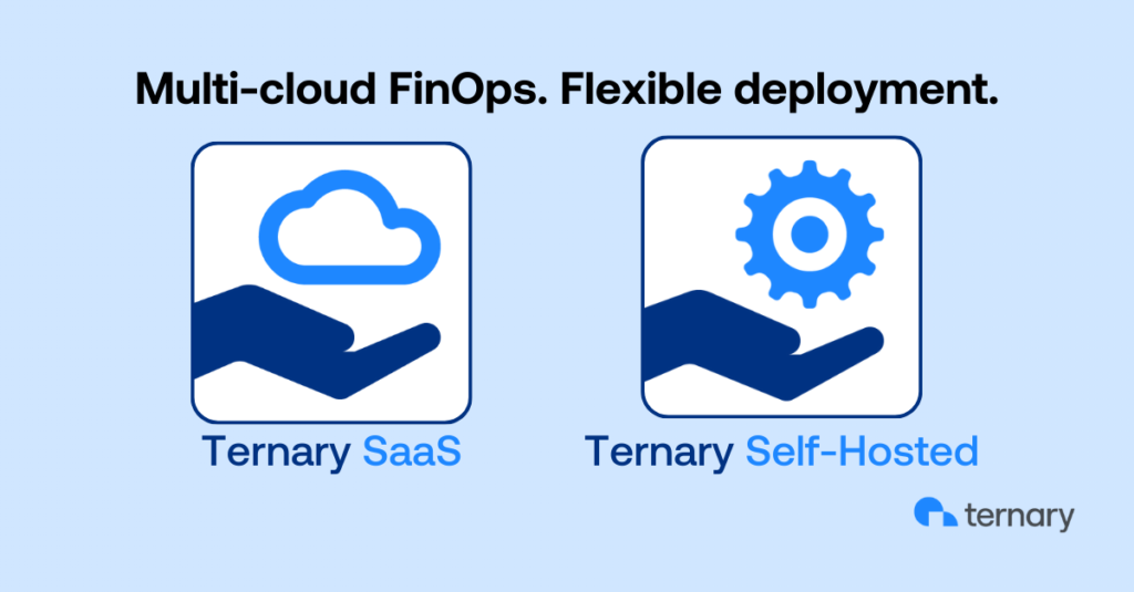 Ternary SaaS vs. self-hosted